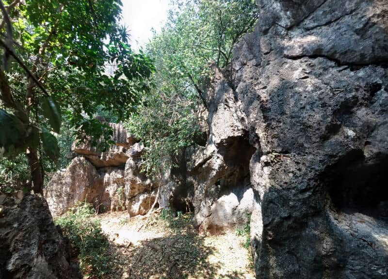 Pha Ngam Stone Garden National Park: Khun Ming Muang Loei